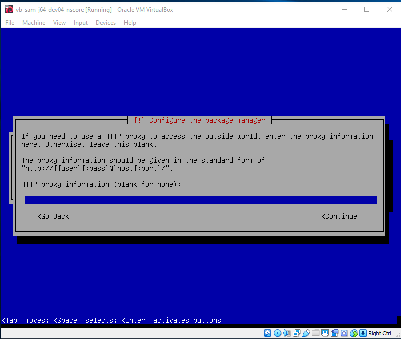Network proxy